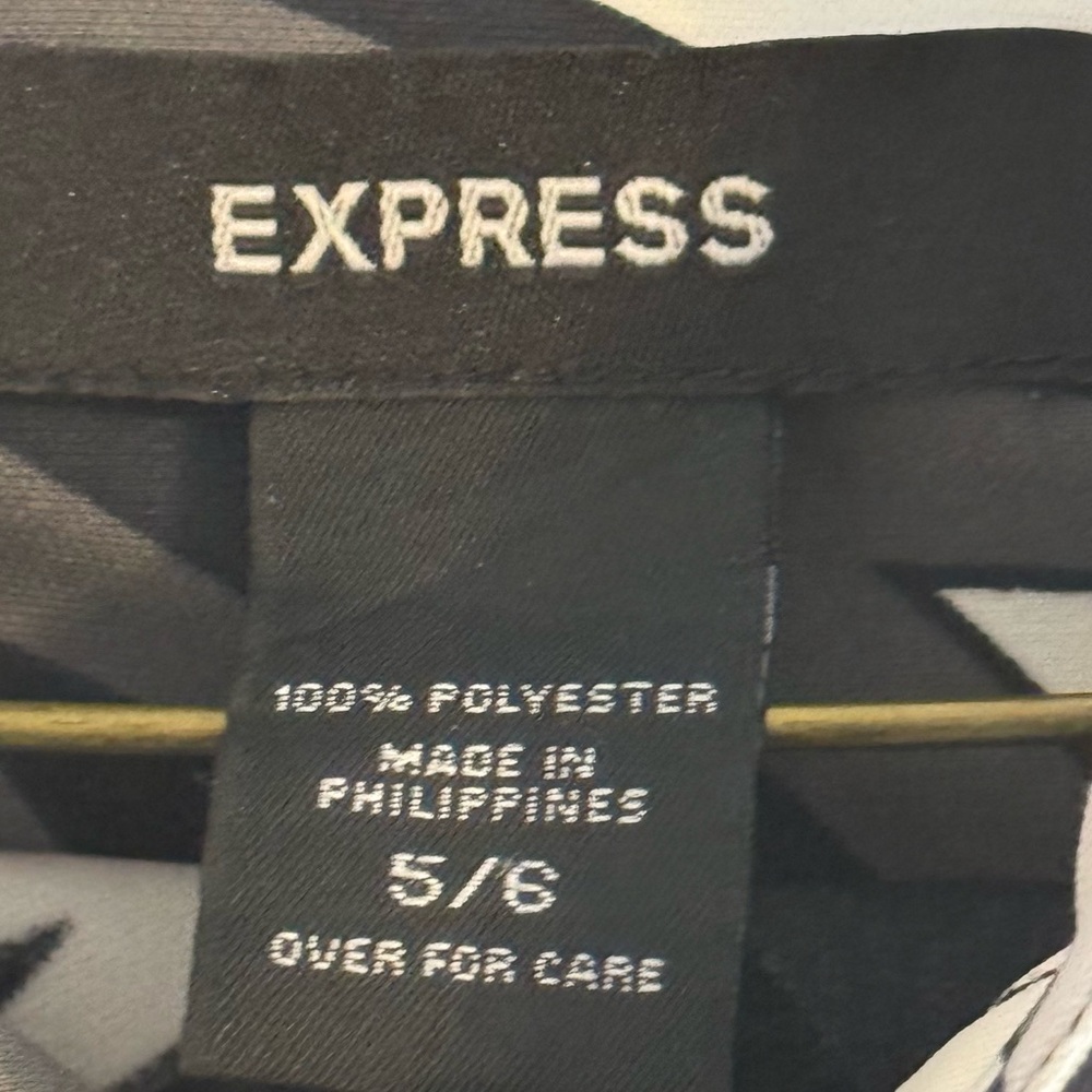 Express Dress - Picture 2 of 3